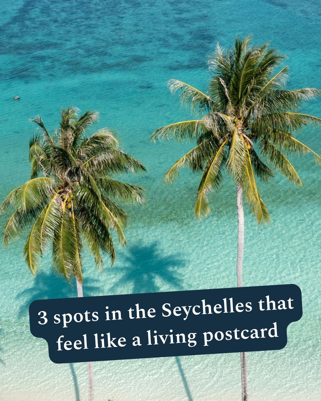 Some places really do look as beautiful as the photographs.
Across the Seychelles, you’ll find giant granite boulders sitting beside clear blue water, ancient palms rising high above forest paths and giant tortoises wandering through protected island landscapes.
These are three spots we’d happily add to any Seychelles adventure:
Anse Source d’Argent on La Digue, the ancient Vallée de Mai on Praslin and Curieuse Island, where you can see the famous Aldabra giant tortoises.
And the lovely thing is, you don’t have to choose just one. Island-hopping makes it possible to experience several completely different sides of the Seychelles in the same holiday.
Which would be first on your list? 💛
#Seychelles #SeychellesHolidays #IndianOcean #LuxuryTravel
