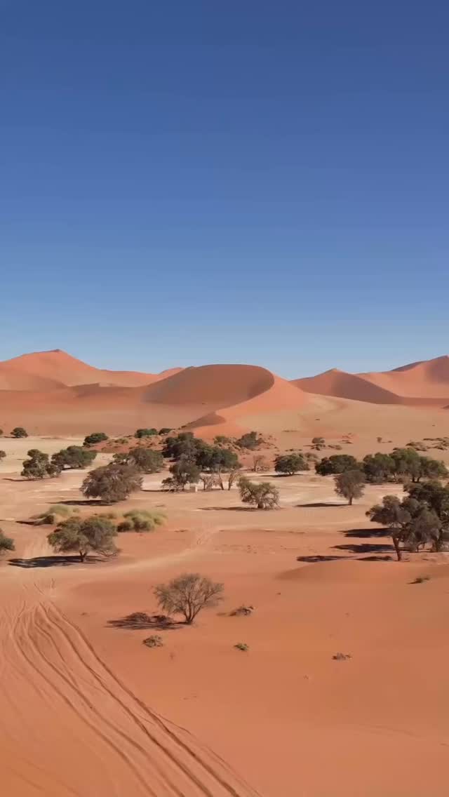 Contact Us 6 Namibia’s endless desert landscapes, dramatic coastlines and unforgettable safari experiences make it one of Africas most captivating destinations. #namibia #visitnamibia #desertlandscapes #adventuretravel #AfricanStarTours