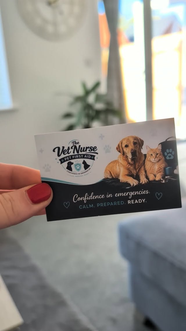 We love a delivery day! 🥰
Thank you @rscreative_designs for designing these for me! In love!!!
#buisness #buisnesswoman #thevetnursepetfirstaid #petfirstaidcourse #PetFirstAidCourse