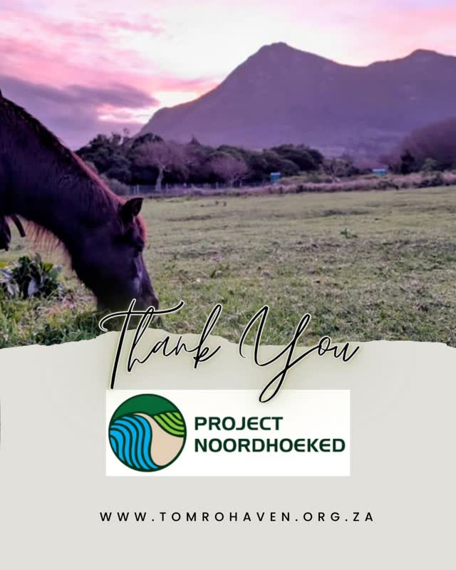 🌿 Project Noordhoeked
This one comes with an extra dose of local love. 💚
A huge thank you to Project Noordhoeked, who donated two beautiful Noordhoek coffee tables as prizes for our Café Roux raffle – and also donated four bags of compost!
Project Noordhoeked is all about our little corner of the world and the community that makes Noordhoek such a special place to live.
Tom Ro is incredibly fortunate to be part of that community, and every time a local organisation steps forward to support us, we're reminded just how much can happen when a community gets behind a cause.
Thank you, Project Noordhoeked. 🐴🌿
Follow them at @projectnoordhoeked.
#TomRoHaven #ProjectNoordhoeked #Noordhoek #SupportLocal #CommunitySupportingCommunity