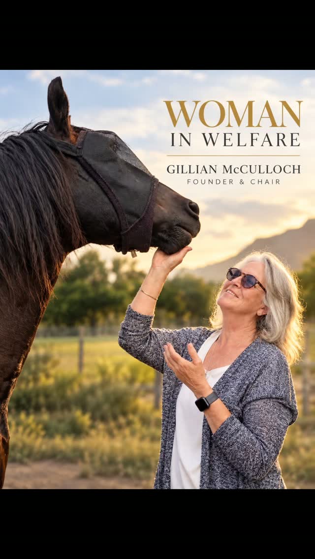 WOMAN IN WELFARE
Gillian McCulloch - Founder & Chair
There is a side to animal welfare that people rarely see.
You see the rescues.
You are part of the healing.
You celebrate the happy endings.
But what you don't always see is what it takes to get there.
The immense financial burden.
The heartbreak.
The physical exhaustion.
The endless responsibility of caring for lives that depend on you.
The relentless cost of feed, veterinary care, rehabilitation, land and simply keeping a sanctuary going.
The everyday fight for legislation that actually protects horses.
The constant need to ask people to care enough to help a desperate, neglected sector of animal welfare that is too often overlooked. Horses are still fighting to crack the nod.
And Gill has spent years fighting to make sure they do.
And she keeps showing up.
The early mornings.
The long days.
The desperate calls for help.
The shocking imagery.
The emergencies.
The exhaustion.
At a stage in life when many would understandably slow down, Gill continues to answer the calls, face the suffering and show up for horses who have nowhere else to turn. And it has taken a toll.
On her health.
On her spirit.
On her body.
But still, she keeps going. Because when Gill looks at a horse that has suffered, she doesn't see a problem that is too difficult, too expensive or too inconvenient. She sees a life. That is her courage.
Not that she doesn't struggle.
Not that she doesn't hurt.
But that even when it hurts, she chooses compassion.
Tom Ro Haven exists because Gill refuses to walk away. Her courage is found in the bills, the exhaustion, the heartbreak and the physical pain - and in every moment she could have said: “I can't do this anymore.” And yet she does. Again. And again. And again.
Today, we honour Gill - not only for what she has built, but for what it has cost her to keep building it. Her passion has never been about recognition. It has always been about the horses.
Have you had the opportunity to meet Gill? If you have, leave one word in the comments that you think best describes her.
#WomanInWelfare #TomRoHaven #GillianMcCulloch #EquineWelfare #AnimalWelfare HorseRescue WomenInWelfare