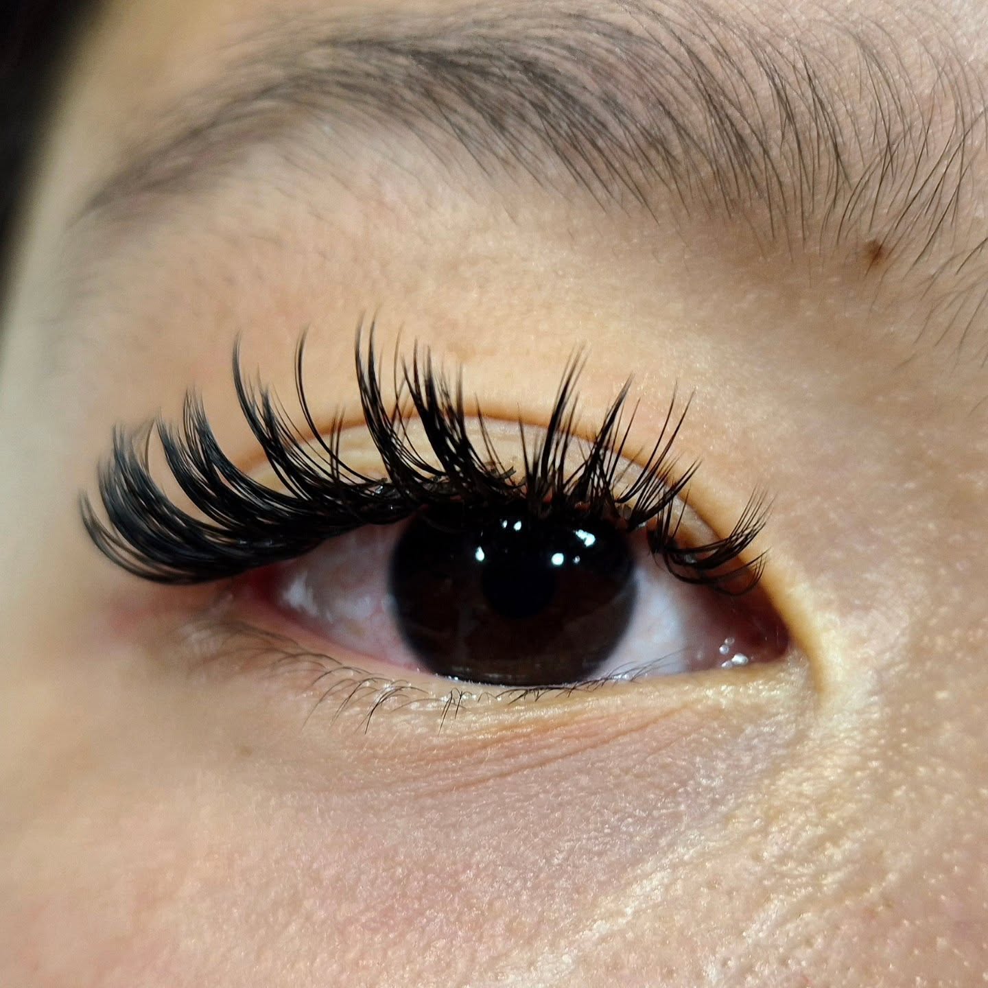 Wet lashes#volumelashes #vippeekstensions #eyelashextensionsoslo #oslovipper #volumvipperoslo #vippeextensionsoslo #vipperextensions #vipperoslo #oslovipper #vipper #beautyoslo #vipperoslo #vipperartist#vipperfrogner #classiclashesextensions #eyelashdesign #vipperskøyen #vippermajorstuen #våtevipper #wetlasheseffectoslo#vippeløftoslo #eyelinereffectoslo# eyeshadoweffect #whispylashes#mixvipperoslo#hybridvipperoslo#