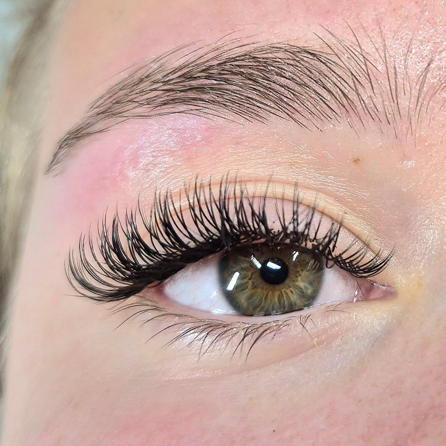 Klassiske vipper#volumelashes #vippeekstensions #eyelashextensionsoslo #oslovipper #volumvipperoslo #vippeextensionsoslo #vipperextensions #vipperoslo #oslovipper #vipper #beautyoslo #vipperoslo #vipperartist#vipperfrogner #classiclashesextensions #eyelashdesign #vipperskøyen #vippermajorstuen #våtevipper #wetlasheseffectoslo#vippeløftoslo #eyelinereffectoslo# eyeshadoweffect #whispylashes#mixvipperoslo#hybridvipperoslo#