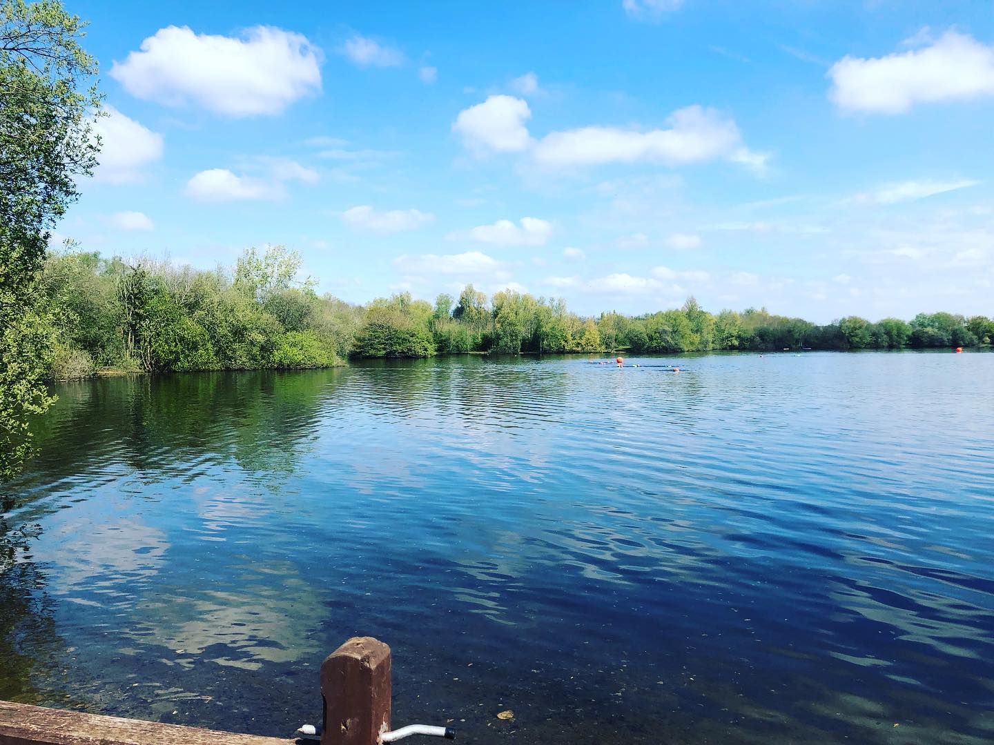 Such a fabulous way to start the bank holiday. Thank you @be_endurance_sports for providing this opportunity #loveopenwater #lovenature