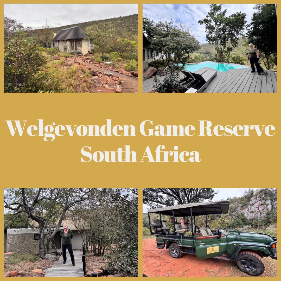 Contact Us 2 Check out our new blog on Welgevonden Game Reserve following our recent visit ❤️🦓 https://africanstartours.com/welgevonden-game-reserve/ #welgevondengamereserve #southafrica @lalukasafarilodge @clifftop_exclusive_safari @makweti.safari @welgevonden_official #loveafrica #travelblog