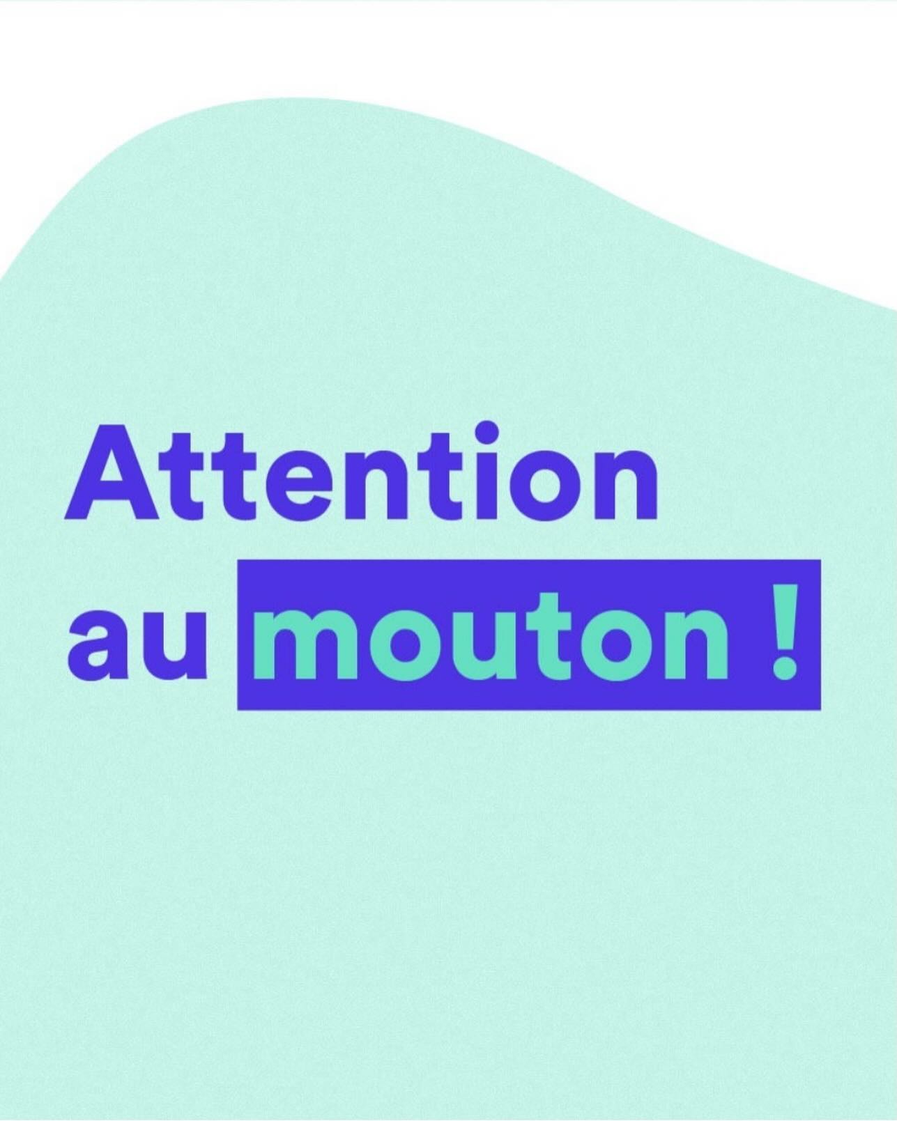 Media Instagram