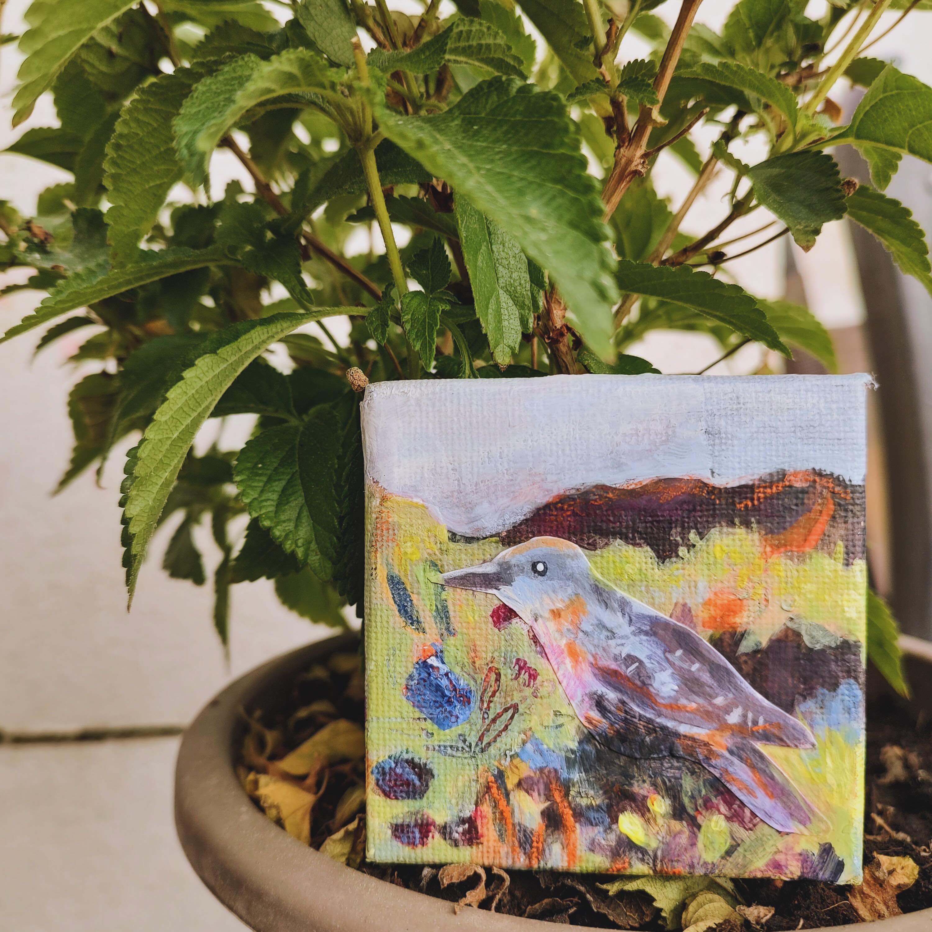 Spotted in my yard! I might not have seen any real merills yet, but these are adding some much needed colour!
@merillimalta @birdlife_malta #ilmerill #bluerockthrush #maltaart #maltadecor #birdlifemalta