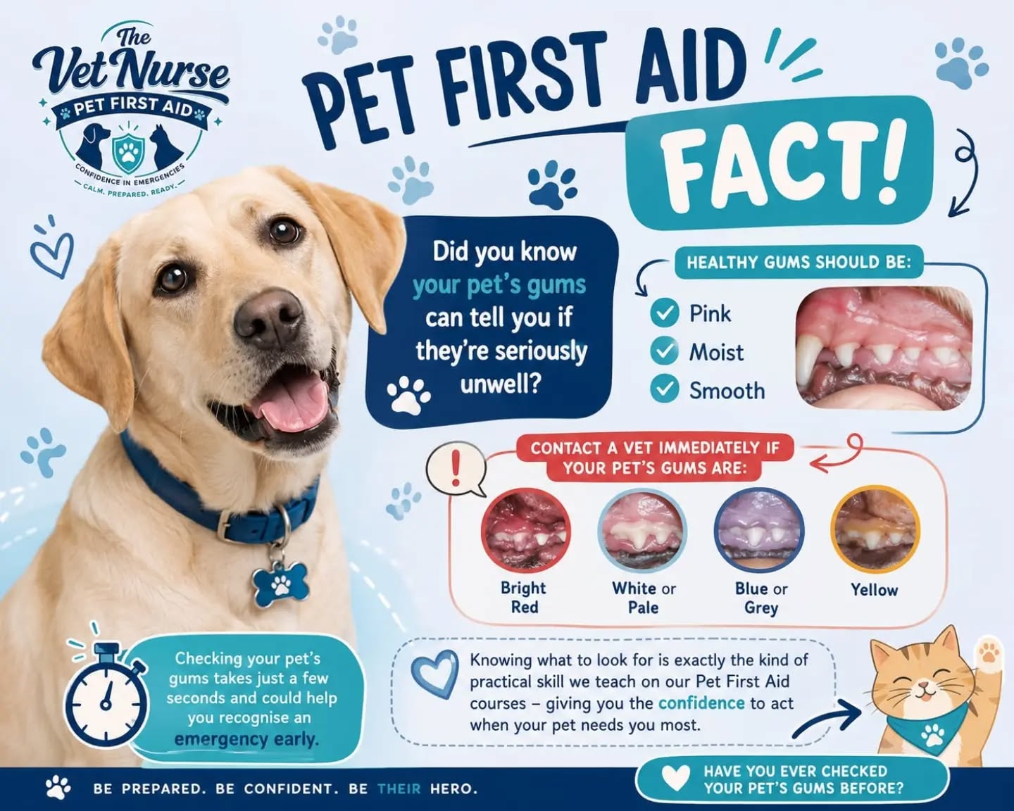 🩺 PET FIRST AID FACT! 🐶🐱
Did you know your pet's gum colour can tell you a lot about their health? 👀
Healthy gums should be:
💗 Pink
💦 Moist
✨ Smooth
Changes in gum colour can be an early warning sign that something is wrong.
🚨 Contact your vet immediately if your pet's gums are:
🔴 Bright red
⚪ White or pale
🔵 Blue or grey
🟡 Yellow
⏱️ It only takes a few seconds to check your pet's gums, but it could help you recognise an emergency before it's too late.
At The Vet Nurse Pet First Aid, we teach practical, hands-on skills that give you the confidence to stay calm and help your pet in an emergency until veterinary care is available.
❤️ Have you ever checked your pet's gums before? Let us know in the comments!
📧 info@thevetnursepetfirstaid.co.uk
#PetFirstAid #TheVetNursePetFirstAid #DogHealth #CatHealth #PetSafety