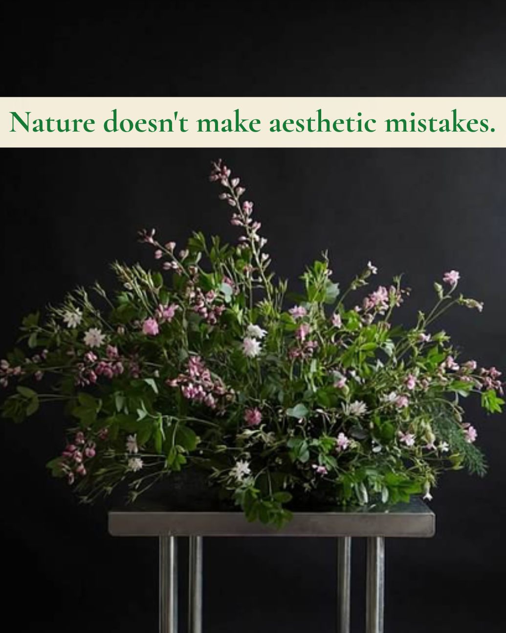 The beauty of a garden isn't found in forced, rigid symmetry, but in the random, magnificent scatter of life. We design right in that sweet spot between restrictive order and total chaos.