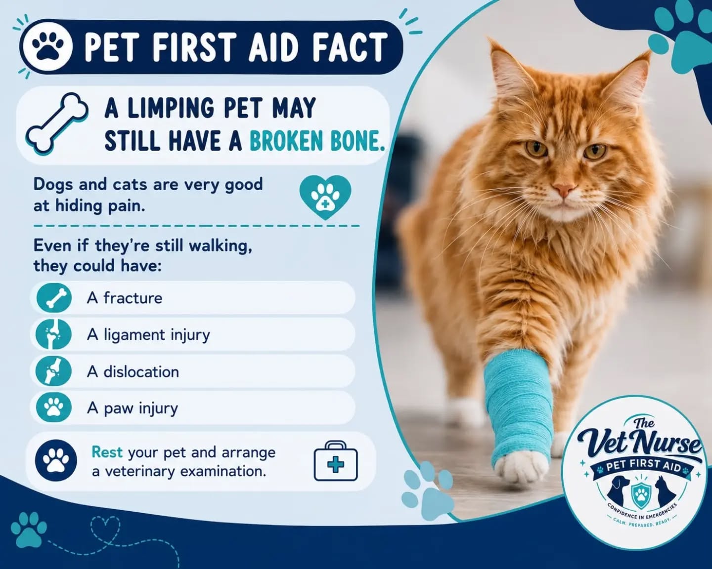 🐾 PET FIRST AID FACT 🐾
Just because your pet is still walking doesn't mean they haven't suffered a serious injury.
Dogs and cats are incredibly good at hiding pain, so a limp should never be ignored. A seemingly minor injury could actually be:
🦴 A fracture (broken bone)
🦵 A ligament injury
🦴 A dislocation
🐾 PET FIRST AID FACT 🐾
Just because your pet is still walking doesn't mean they haven't suffered a serious injury.
Dogs and cats are incredibly good at hiding pain, so a limp should never be ignored. A seemingly minor injury could actually be:
🦴 A fracture (broken bone)
🦵 A ligament injury
🦴 A dislocation
🐾 A painful paw injury
💡 What should you do?
✅ Keep your pet as calm and rested as possible.
✅ Avoid long walks, running or jumping.
✅ Arrange a veterinary examination as soon as possible to determine the cause of the limp.
Early assessment and treatment can help prevent further injury and improve your pet's recovery.
Knowing what to do before you get to the vet can make all the difference. That's exactly what you'll learn on our Level 2 Pet First Aid (VTQ) course.
📧 info@thevetnursepetfirstaid.co.uk
🌐 www.thevetnursepetfirstaid.co.uk
📱 WhatsApp: 07588 487057
Have you ever had a pet suddenly start limping? Share your experience in the comments! 👇
#PetFirstAid #PetSafety #dogfirstaid #catfirstaid #thevetnursepetfirstaid