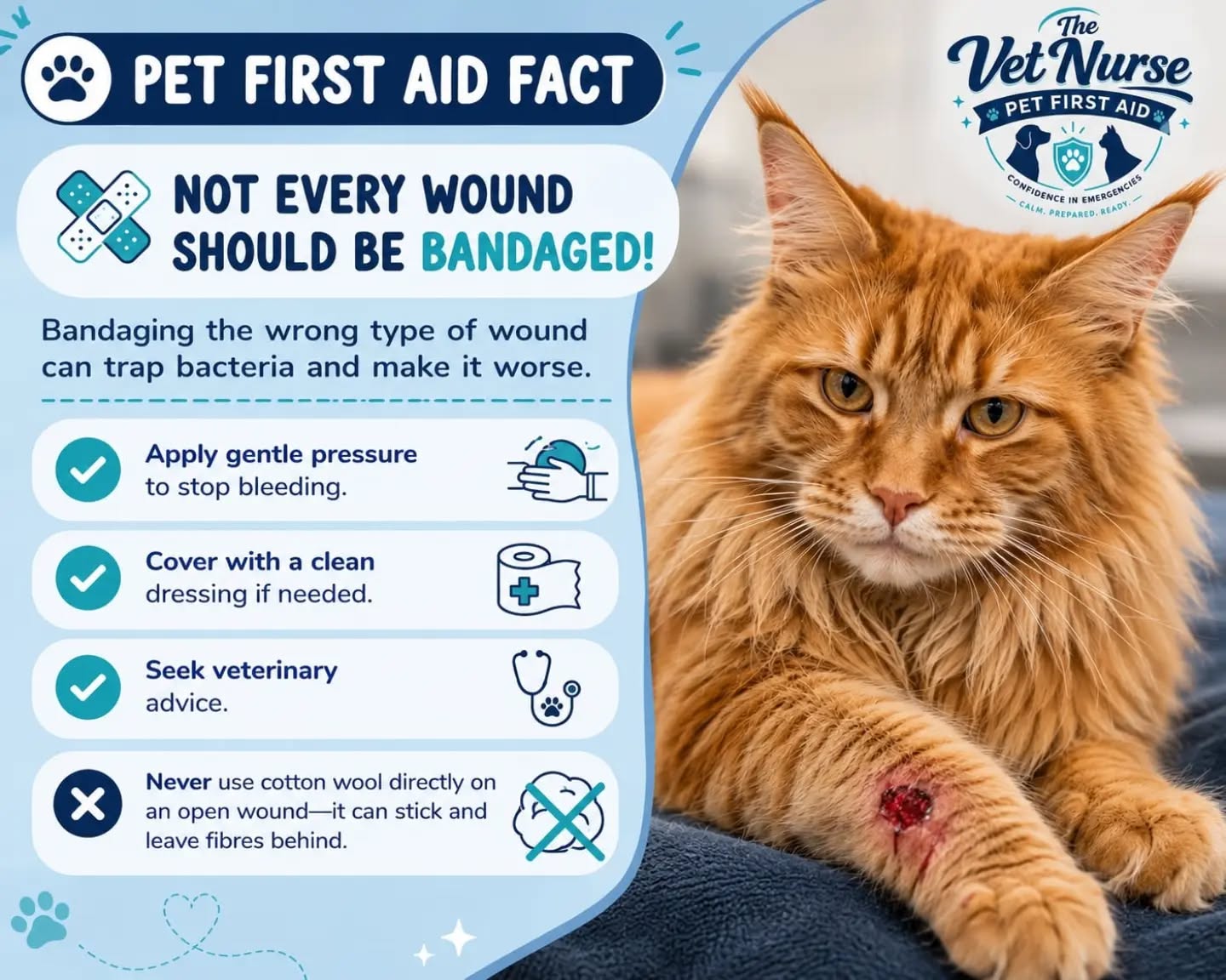 🩹 PET FIRST AID FACT 🐾
Not every wound should be bandaged!
It might seem like the best thing to do, but bandaging the wrong type of wound can actually trap bacteria, delay healing, and sometimes make the injury worse.
If your pet has a wound:
✅ Apply gentle pressure with a clean dressing if it's bleeding.
✅ Cover it with a clean, non-stick dressing if needed.
✅ Contact your veterinary practice for advice as soon as possible.
❌ Avoid placing cotton wool directly onto an open wound, as the fibres can stick to the tissue and make treatment more difficult.
Every wound is different. While some injuries benefit from a bandage, others are better left uncovered until they've been assessed by a veterinary professional.
Knowing what to do in those first few minutes can make a real difference to your pet's recovery. ❤️
Have you ever had to deal with a pet wound at home? Share your experience below! 👇
#PetFirstAid #PetSafety #DogFirstAid #CatFirstAid #TheVetNursePetFirstAid