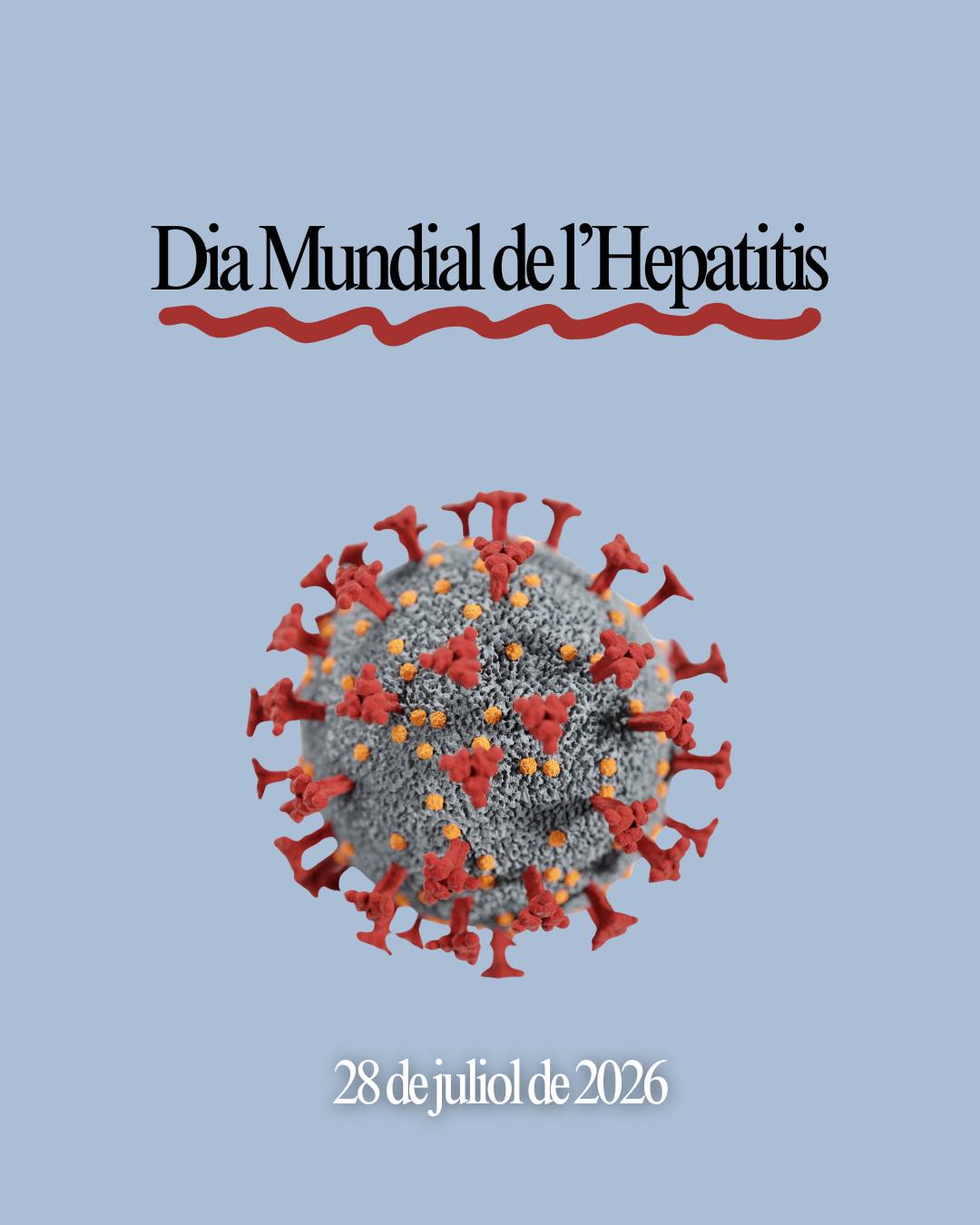 🟡 28 de juliol | Dia Mundial contra l'Hepatitis
L'hepatitis és una inflamació del fetge que, en molts casos, pot passar desapercebuda durant anys. Per això, la prevenció, la detecció precoç i la vacunació són fonamentals per protegir la salut. 💛
✔️ Vacuna't quan estigui indicada.
✔️ Evita compartir objectes punxants o d'higiene personal.
✔️ Si tens factors de risc, consulta amb el teu professional sanitari sobre la possibilitat de fer-te una prova.
Conèixer és prevenir. En aquest Dia Mundial contra l'Hepatitis, sumem esforços per conscienciar, detectar a temps i avançar cap a un futur lliure d'hepatitis.
💚 Si tens qualsevol dubte, passa per la farmàcia. Estarem encantats d'assessorar-te.
#DiaMundialContraLHepatitis #Hepatitis #Salut #Prevenció #DeteccióPrecoç #Vacunació #Farmàcia #CuidaLaTevaSalut #Benestar