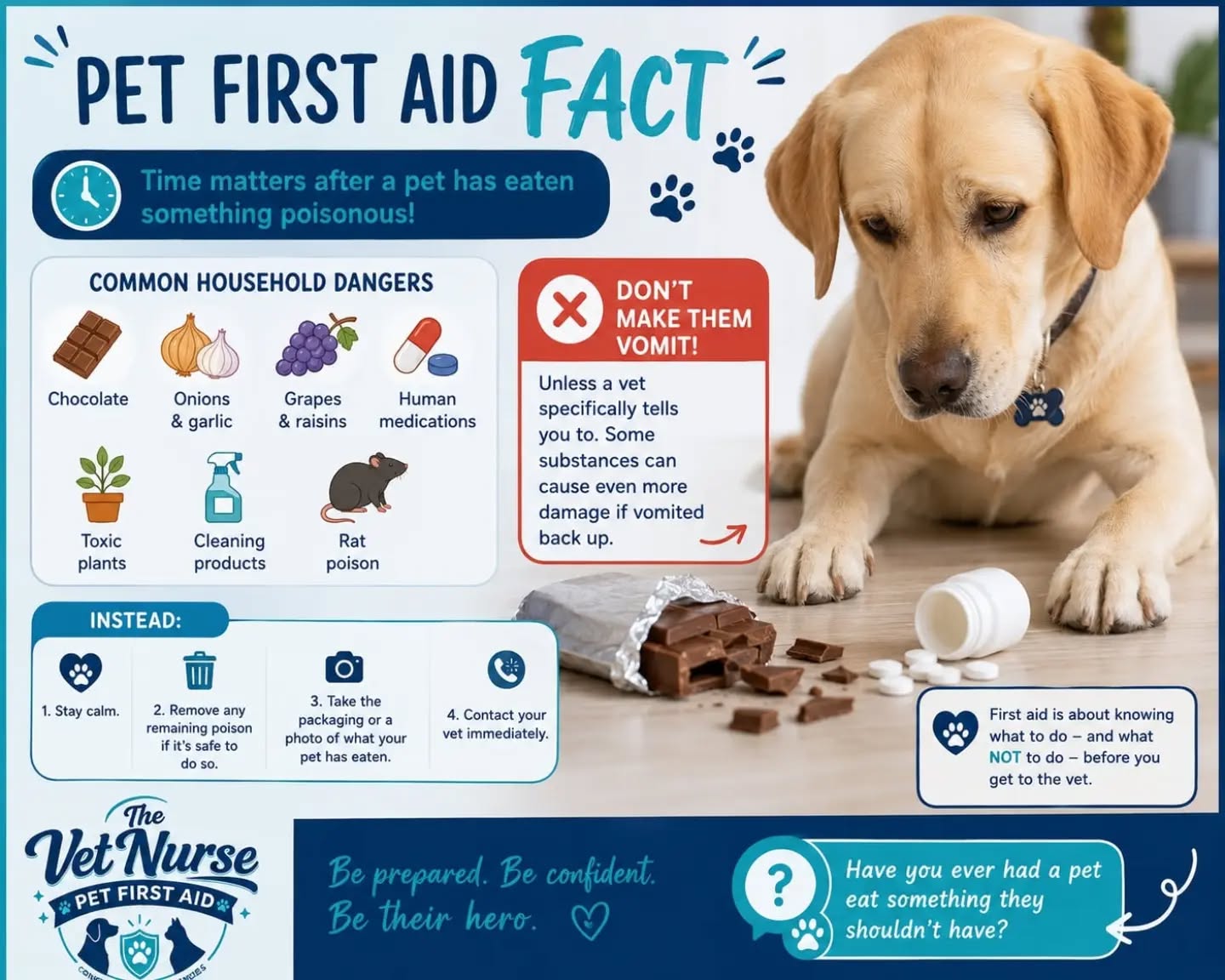 ⚠️🐾 PET FIRST AID FACT 🐾⚠️
Time matters if your pet has eaten something poisonous.
One of the biggest myths is that you should make your pet vomit immediately. This is NOT always safe.
🚫 Never make your pet vomit unless a veterinary professional specifically tells you to. Some substances can cause even more damage when they come back up.
Common household dangers include:
🍫 Chocolate
🧅 Onions & garlic
🍇 Grapes & raisins
💊 Human medications
🪴 Toxic plants
🧴 Cleaning products
🐀 Rat poison
If you think your pet has been poisoned:
✅ Stay calm.
✅ Remove any remaining poison if it's safe to do so.
✅ Take the packaging or a clear photo of what your pet has eaten.
✅ Contact your vet immediately for advice.
Knowing what to do – and what NOT to do before reaching the vet can make a huge difference to your pet's outcome.
Our Level 2 Pet First Aid (VTQ) course teaches practical, evidence-based first aid skills to help you respond confidently in an emergency.
📧 info@thevetnursepetfirstaid.co.uk
🌐 www.thevetnursepetfirstaid.co.uk
📱 WhatsApp: 07588 487057
💬 Has your pet ever eaten something they shouldn't have? Share your story in the comments—it could help another pet owner.
#PetFirstAid #PetPoisoning #PetSafety #DogFirstAid #thevetnursepetfirstaid