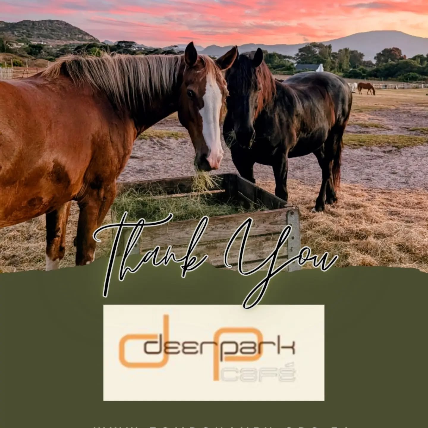 ☕ Deer Park Café
Coffee tastes even better when it comes with kindness. ☕❤️
A very big thank you to Deer Park Café, who donated a R500 café voucher to our raffle at Café Roux.
Deer Park Café is a much-loved neighbourhood spot in Vredehoek, opening onto the park with views over the city and serving everything from great coffee and wood-fired pizzas to authentic Indian dishes, vegetarian and vegan options.
We love businesses that understand the importance of community, and we're so grateful that Deer Park Café chose to support ours.
Thank you for helping Tom Ro continue creating a safe haven for horses and children. 🐴
Find them at @deer_park_cafe.
#TomRoHaven #DeerParkCafe #CapeTown #ThankYou #CommunitySupportingCommunity