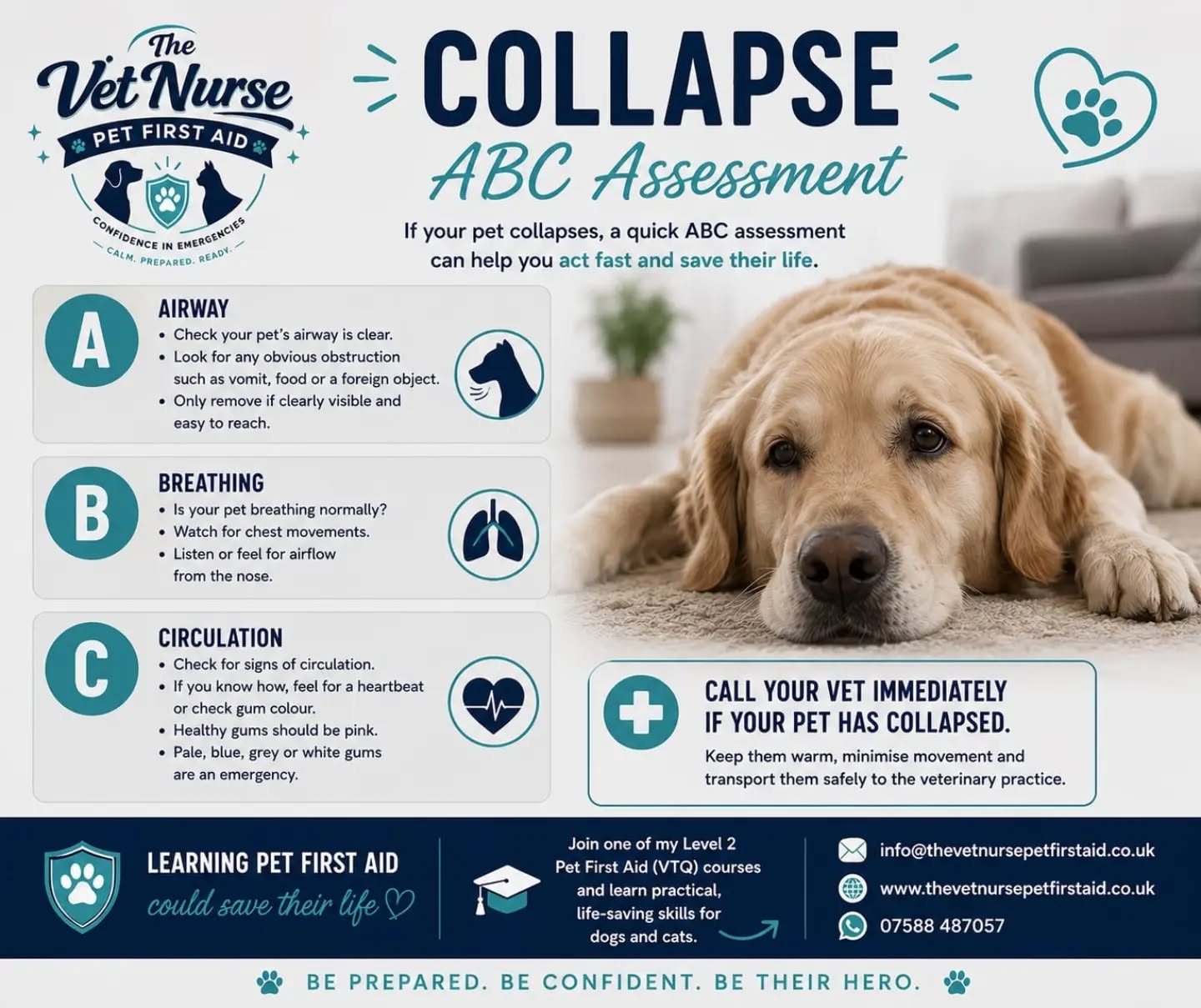 🚨 Collapse – ABC Assessment 🚨
If your pet suddenly collapses, it can be terrifying. Knowing how to perform a simple ABC assessment can help you recognise a life-threatening emergency and act quickly while getting veterinary help.
🐾 A – Airway
✔️ Check that your pet's airway is clear.
✔️ Look for any obvious obstruction such as vomit, food or a foreign object.
✔️ Only remove an object if it is clearly visible and easy to reach.
🐾 B – Breathing
✔️ Is your pet breathing normally?
✔️ Watch for chest movements and listen or feel for airflow from the nose.
✔️ If they are not breathing, seek emergency veterinary help immediately.
🐾 C – Circulation
✔️ Check for signs of circulation by feeling for a heartbeat (if you know how) or looking at their gum colour.
✔️ Healthy gums should be pink. Pale, blue, grey or white gums are an emergency.
🚨 Call your vet immediately if your pet has collapsed. Keep them warm, minimise movement, and transport them safely to the veterinary practice.
💙 Learning how to assess an emergency could help you stay calm and act with confidence when every second counts.
📅 Join one of my Level 2 Pet First Aid (VTQ) courses and learn practical, life-saving skills for dogs and cats.
📧 info@thevetnursepetfirstaid.co.uk
🌐 www.thevetnursepetfirstaid.co.uk
📱 WhatsApp: 07588 487057
Have you heard of an ABC assessment before? Let me know in the comments! 👇
#PetFirstAid #ABCAssessment #PetEmergency #DogFirstAid #CatFirstAid