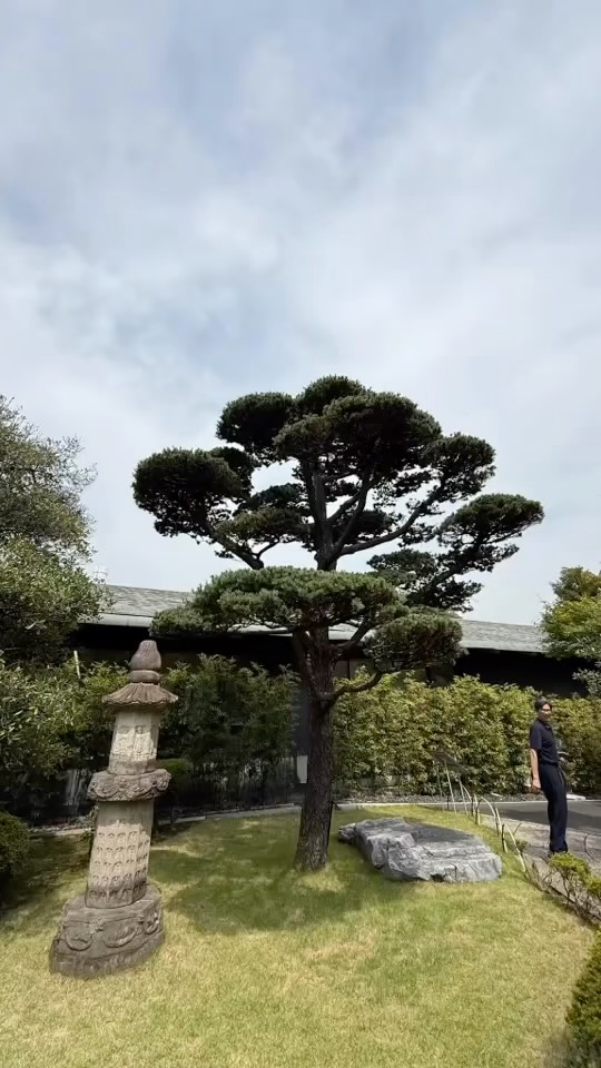 10 days in Japan last month with a fantastic client. #ravenstrategicgroup #bespokeriskmanagement #conciergeriskmanagament #eventplanning #situationalawareness disastermedicine beprepared emergencymedicine crisismanagement firefighter security protector firstresponder securitymanagement executiveprotection intuitionawareness survivalmindset peopleprotectionpeaceofmind