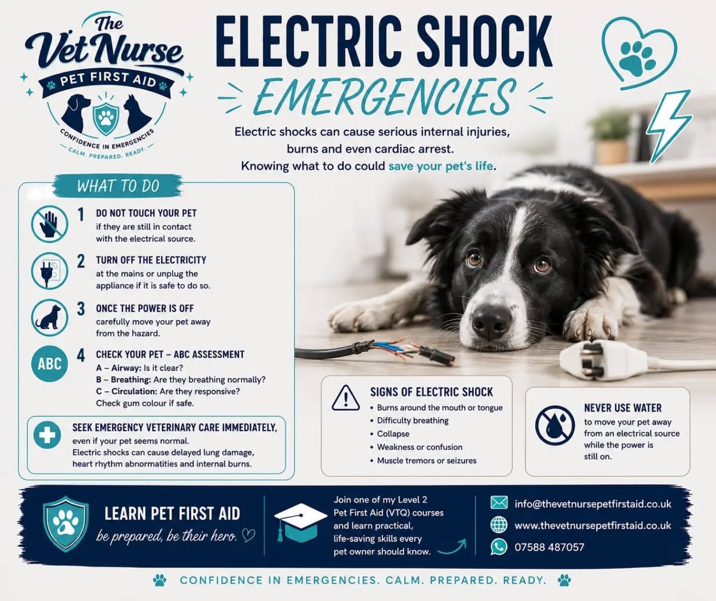 Electric Shock Emergencies ⚡
Electric shocks can cause serious internal injuries, burns and even cardiac arrest. Knowing what to do could save your pet's life.
🐾 Do NOT touch your pet if they are still in contact with the electrical source.
🐾 Turn off the electricity at the mains or unplug the appliance if it is safe to do so.
🐾 Once the power is off, carefully move your pet away from the hazard.
🐾 Check your pet using the ABC assessment:
• A – Airway: Is it clear?
• B – Breathing: Are they breathing normally?
• C – Circulation: Are they responsive? Check gum colour if safe.
🚨 Seek emergency veterinary care immediately, even if your pet seems normal. Electric shocks can cause delayed lung damage, heart rhythm abnormalities and internal burns.
⚠️ Common signs of an electric shock include:
• Burns around the mouth or tongue
• Difficulty breathing
• Collapse
• Weakness or confusion
• Muscle tremors or seizures
❌ Never use water to move your pet away from an electrical source while the power is still on.
💙 Knowing pet first aid gives you the confidence to act safely in an emergency while your pet gets the urgent veterinary care they need.
📅 Join one of my Level 2 Pet First Aid (VTQ) courses and learn practical, life-saving skills every pet owner should know.
📧 info@thevetnursepetfirstaid.co.uk
🌐 www.thevetnursepetfirstaid.co.uk
📱 WhatsApp: 07588 487057
Has your puppy or kitten ever chewed an electrical cable? Tell me your story below! 👇
#petfirstaid #ElectricShock #PetEmergency #dogsafety #thevetnursepetfirstaid