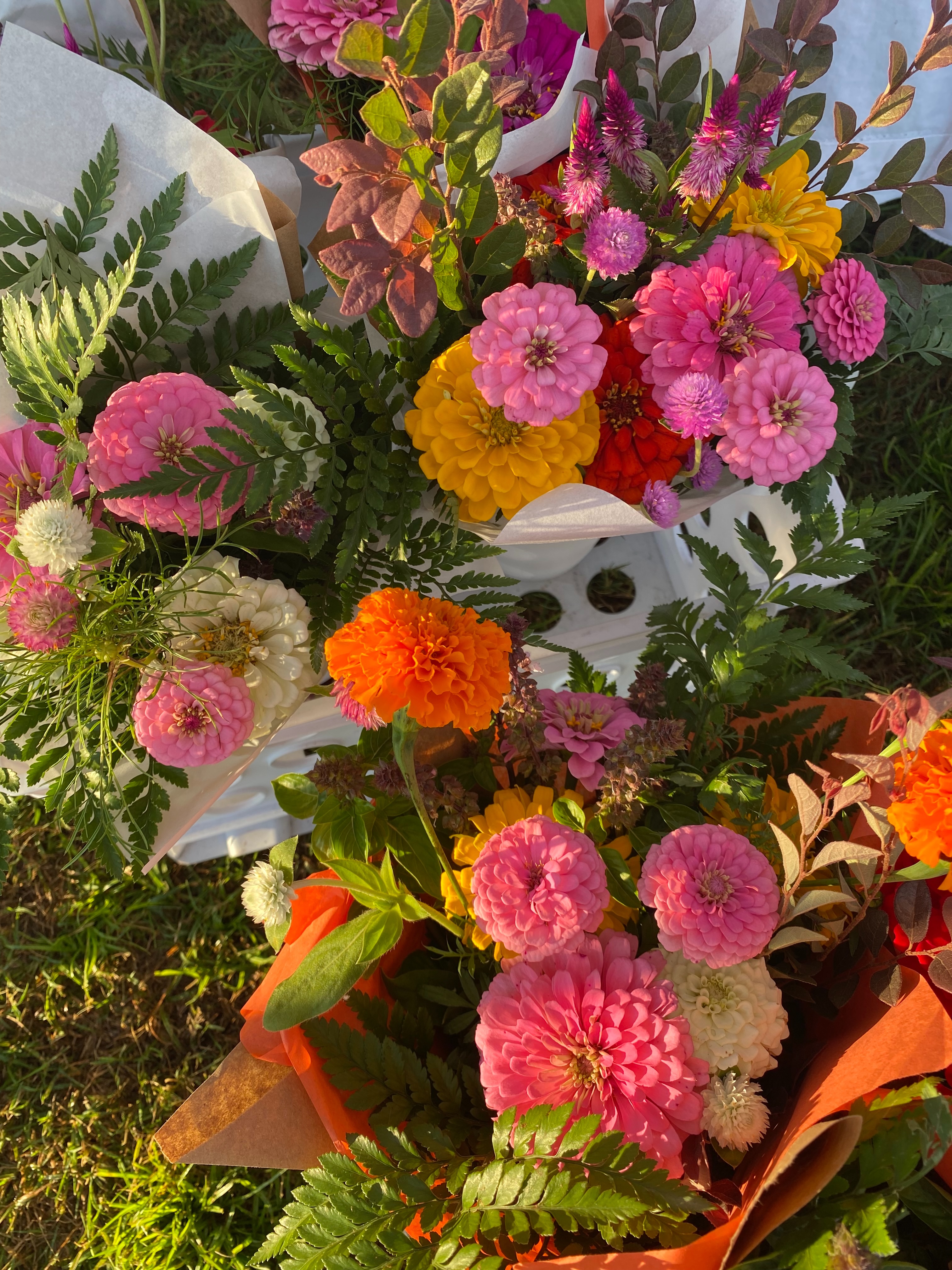 Fall is in the air 🍂🍁
A peek at yesterday’s selection at the Wrightsville Beach Farmers Market 👀🎃
#thingstodowilmington #shoplocalwilmington #wilmingtonmoms #ncagritourism #cutflowerfarm